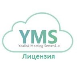 Серверные решения ВКС