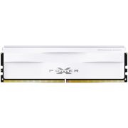 Память DDR5 16GB 6000MHz Silicon Power SP016GXLWU600FSG