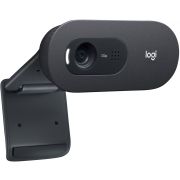 Камера Web Logitech HD Webcam C505e