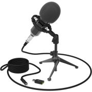 Микрофон проводной Ritmix RDM-160