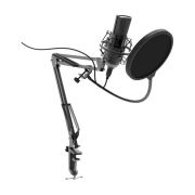 Микрофон проводной Ritmix RDM-180