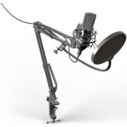 Микрофон проводной Ritmix RDM-169