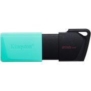 Флеш Диск Kingston 256Gb DataTraveler Exodia M