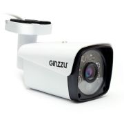 Камера видеонаблюдения IP Ginzzu HIB-5301A
