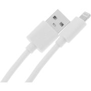 Кабель KingPrice KP-USBAL-2m