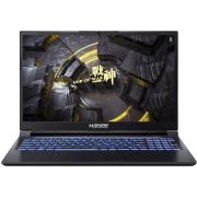 Ноутбук Hasee Z8 Z8 B63614FH