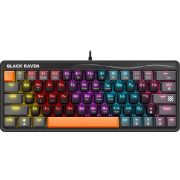 Клавиатура Defender Black Raven GK-417