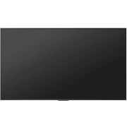 Панель Hisense 100