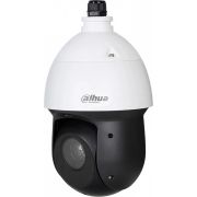 Камера видеонаблюдения IP Dahua DH-SD49216DB-HNY