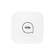 Wi-Tek WI-AP215