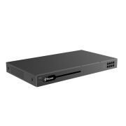 Yeastar P560