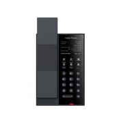 Fanvil H602